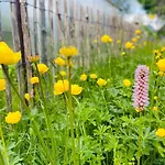 Alte Wildmeisterei - Gartenblick * Neuhaus am Rennweg