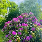 Alte Wildmeisterei - Gartenblick Διαμέρισμα