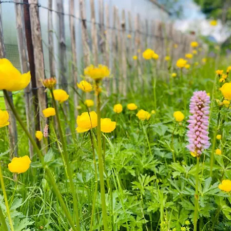 Alte Wildmeisterei - Gartenblick * Neuhaus am Rennweg