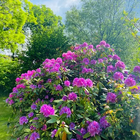 Alte Wildmeisterei - Gartenblick Apartment