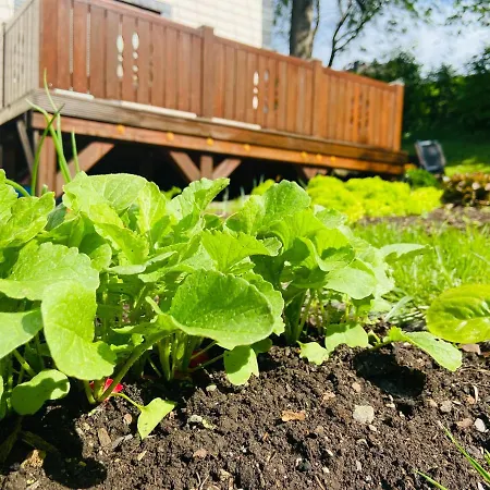 Alte Wildmeisterei - Gartenblick *