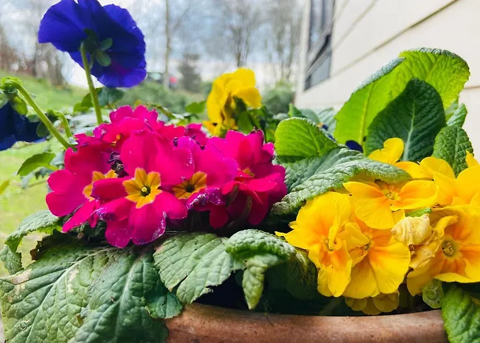 Alte Wildmeisterei - Gartenblick * נויהאוס אם רנווג