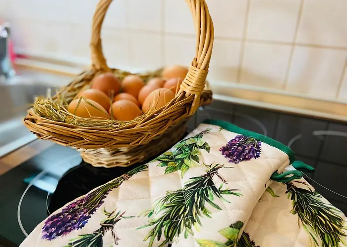 Alte Wildmeisterei - Gartenblick Neuhaus am Rennweg