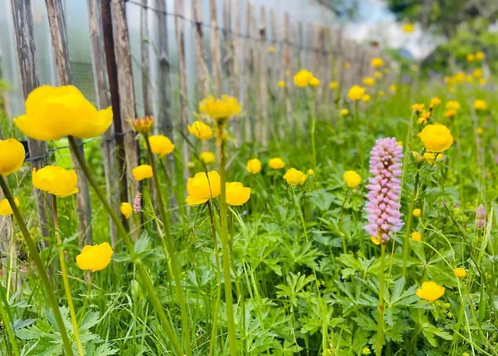 Alte Wildmeisterei - Gartenblick * Neuhaus am Rennweg