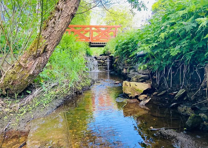 Alte Wildmeisterei - Gartenblick
