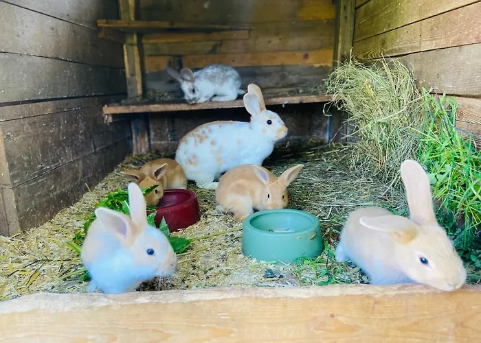 דירה Alte Wildmeisterei - Gartenblick נויהאוס אם רנווג