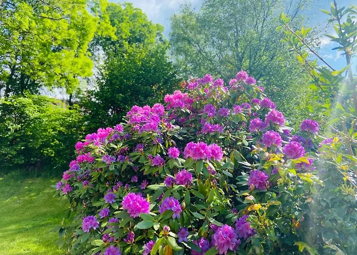 Alte Wildmeisterei - Gartenblick Appartement