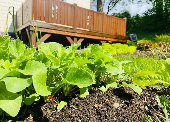 Alte Wildmeisterei - Gartenblick *