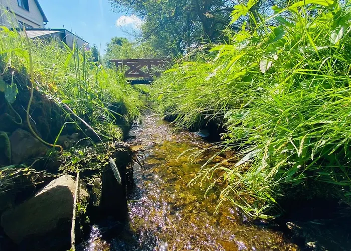 Alte Wildmeisterei - Gartenblick Neuhaus am Rennweg