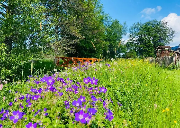 Alte Wildmeisterei - Gartenblick Appartement *